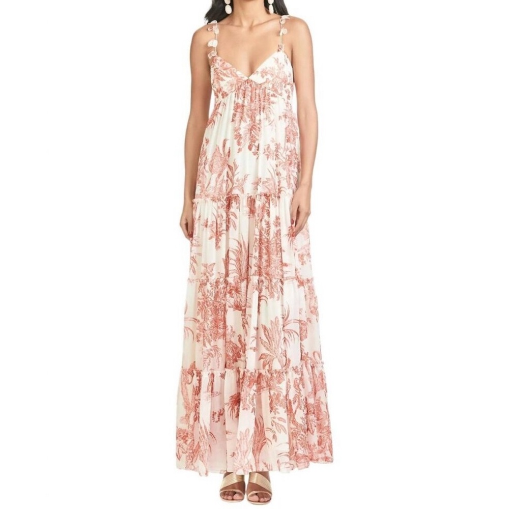 Sachin and Babi Hallie Dress Rust Ivory Toile Birds Print Flowy Maxi Long Boho